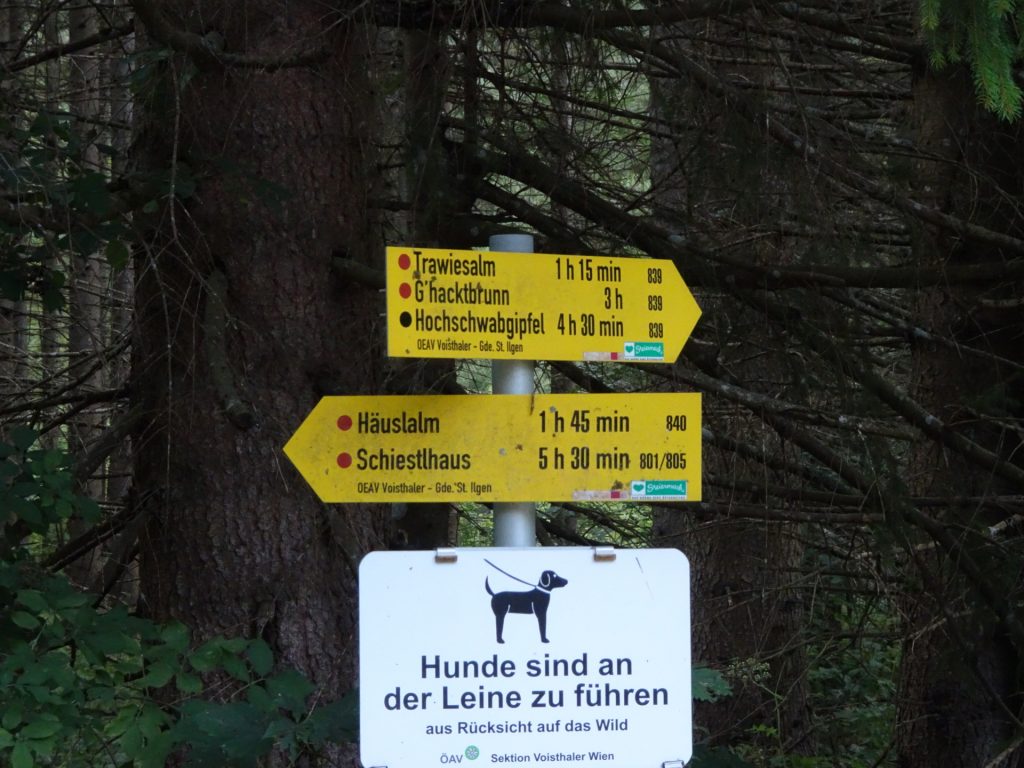 Follow the trail towards "Hochschwabgipfel"