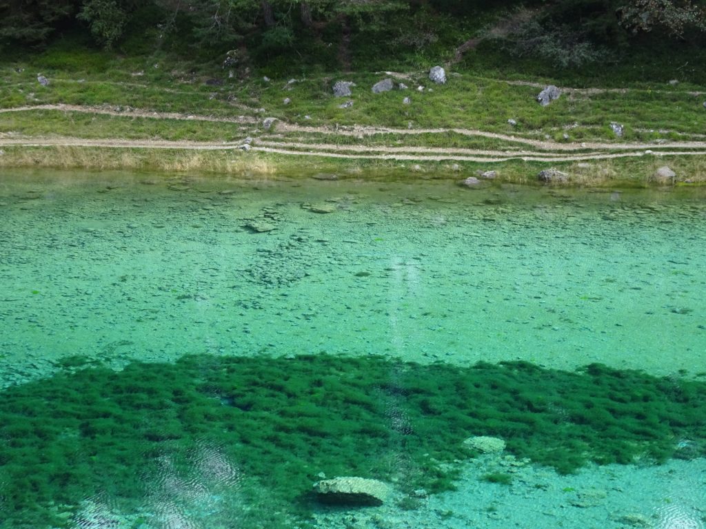 The amazing "Grüner See"