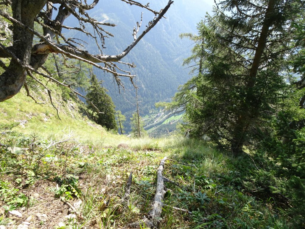 View from the slightly exposed trail