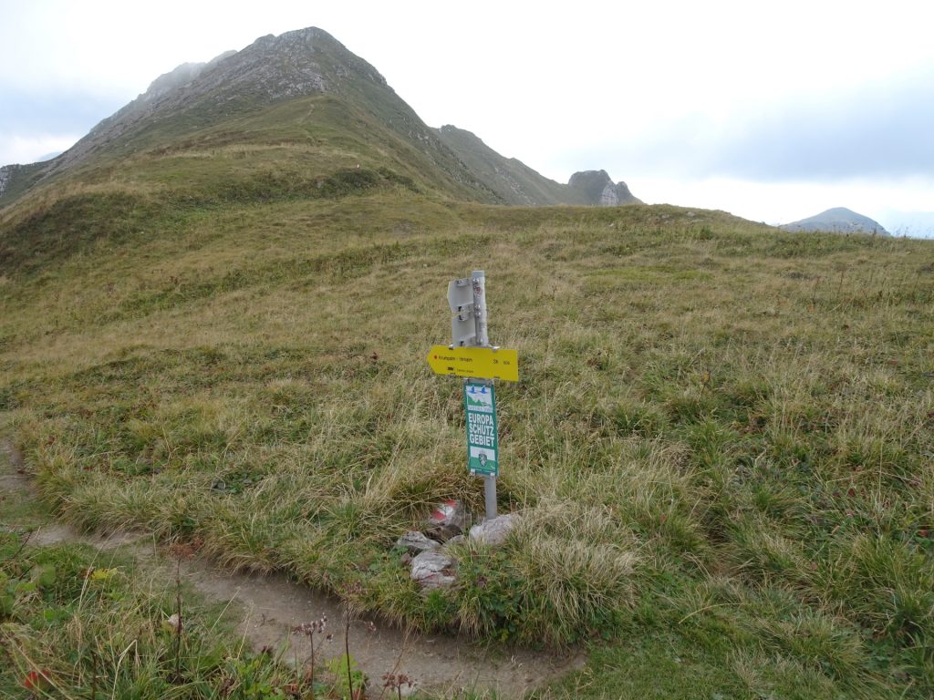 Turn left here and follow the trail towards "Hirnalm"
