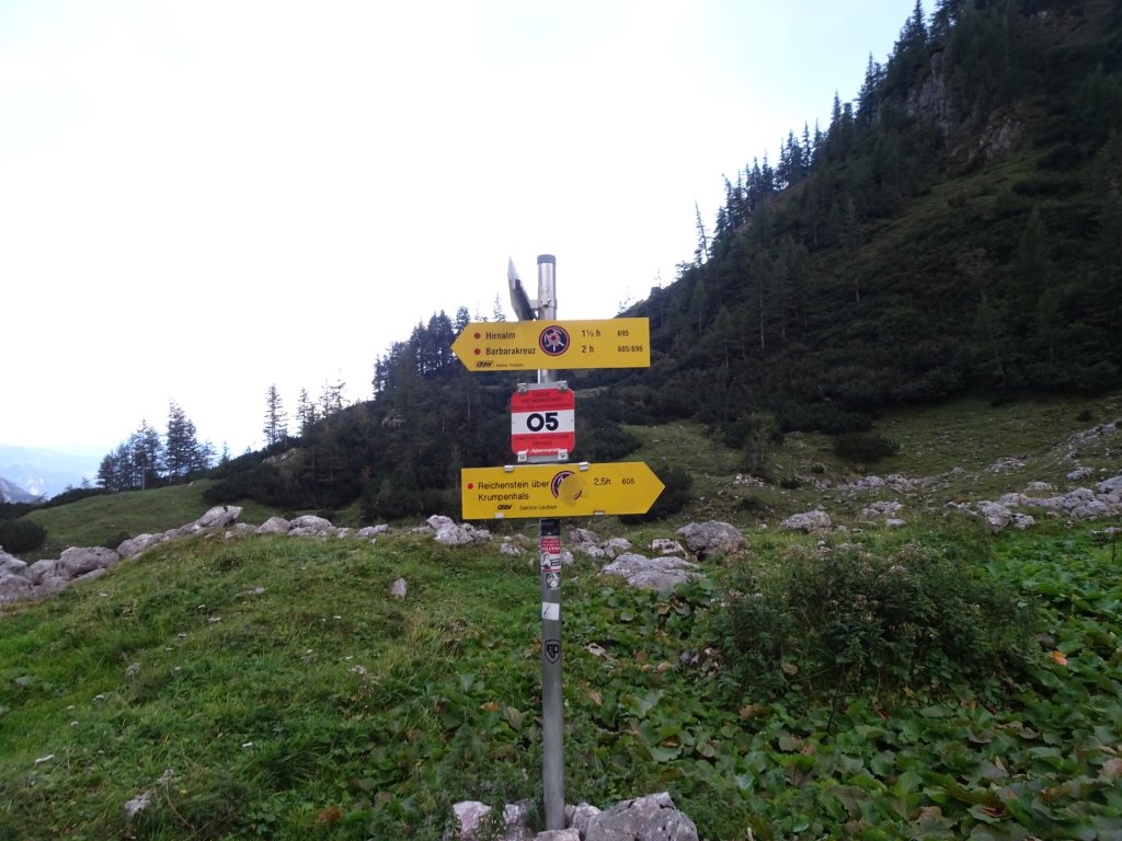 Follow the trail "695" towards "Hirnalm"
