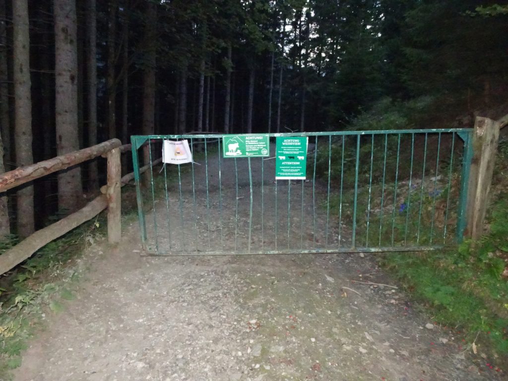Cross the gate and follow the trail towards the "Hirnalmhütte"