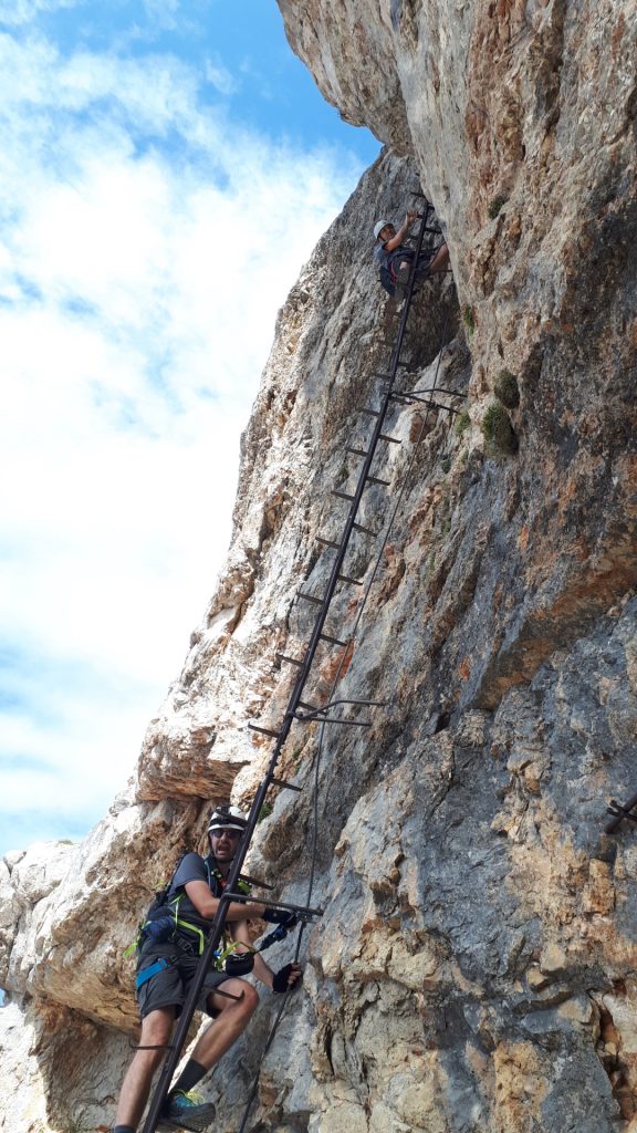Stefan and Bernhard on the 2nd climbing tree (B/C)