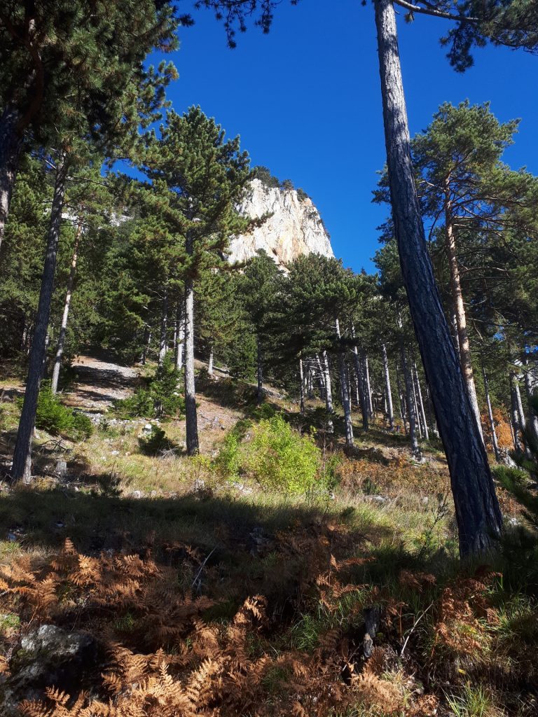 View towards the via ferrata