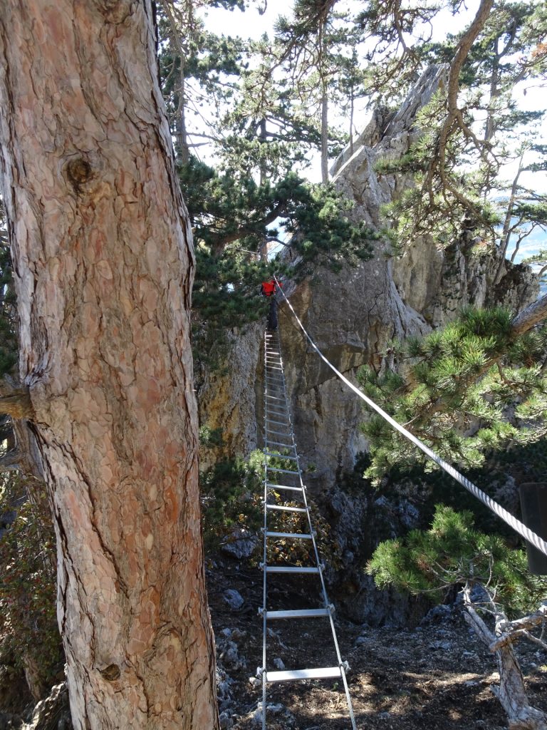 GV-Steig: Crossing the rope-way bridge ((8), B)