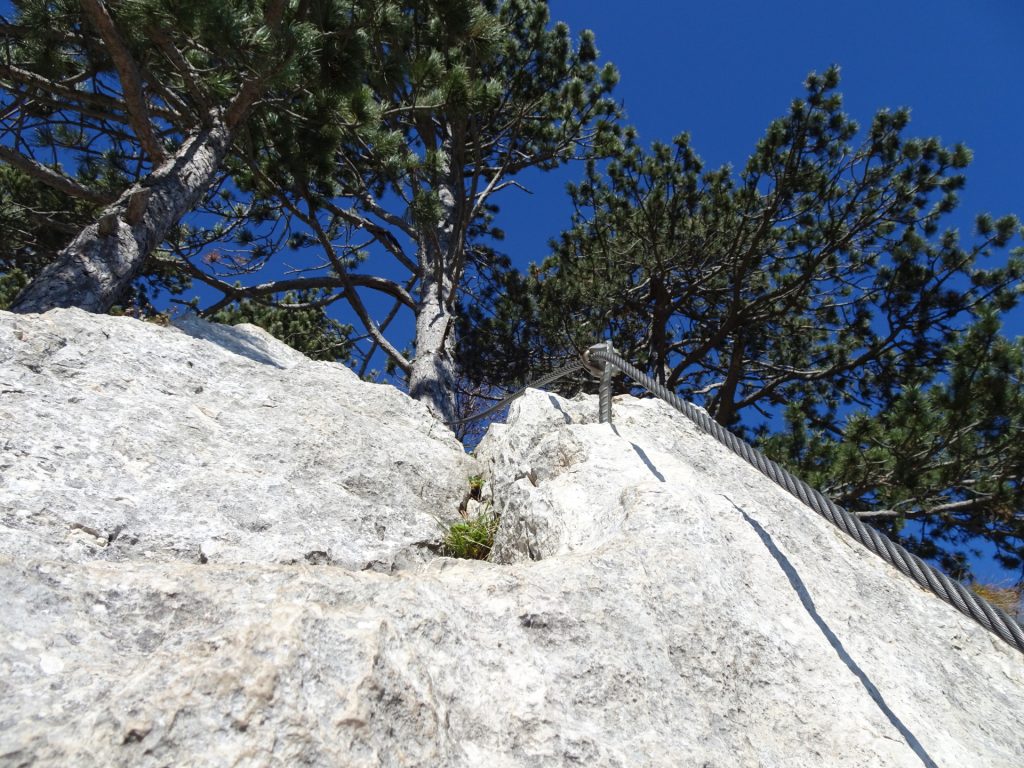 GV-Steig: Towards the exit at the "Headwall" (C)