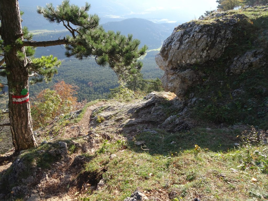 Descending via the "Springlessteig"