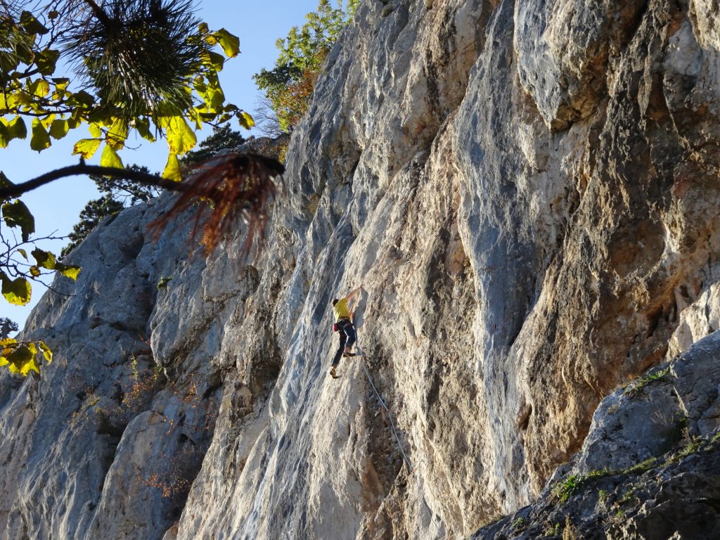 A climber seen from the "Springlessteig"