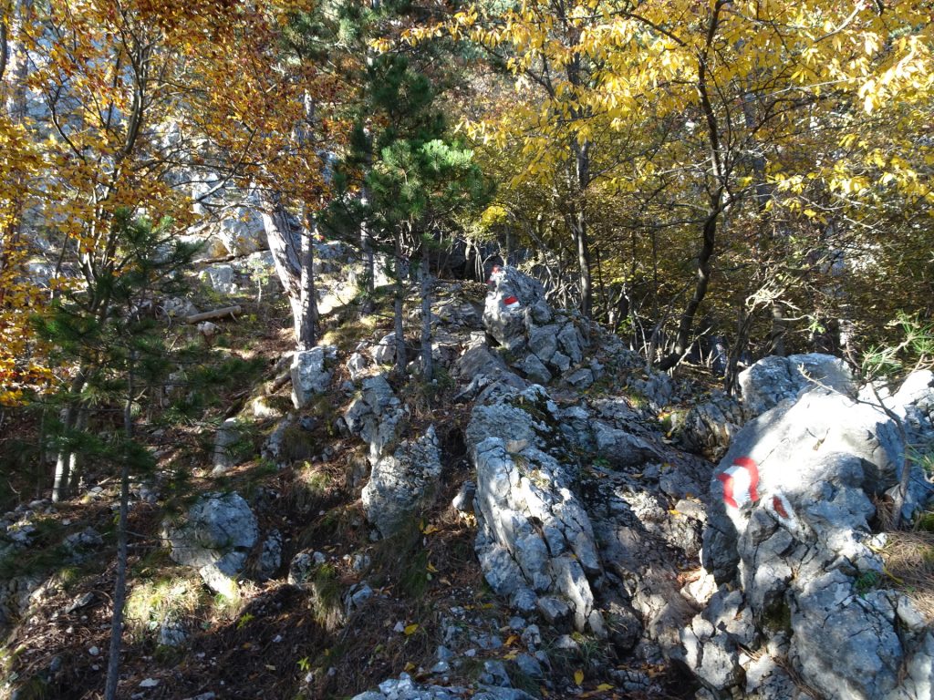 View back to the "Springlessteig"