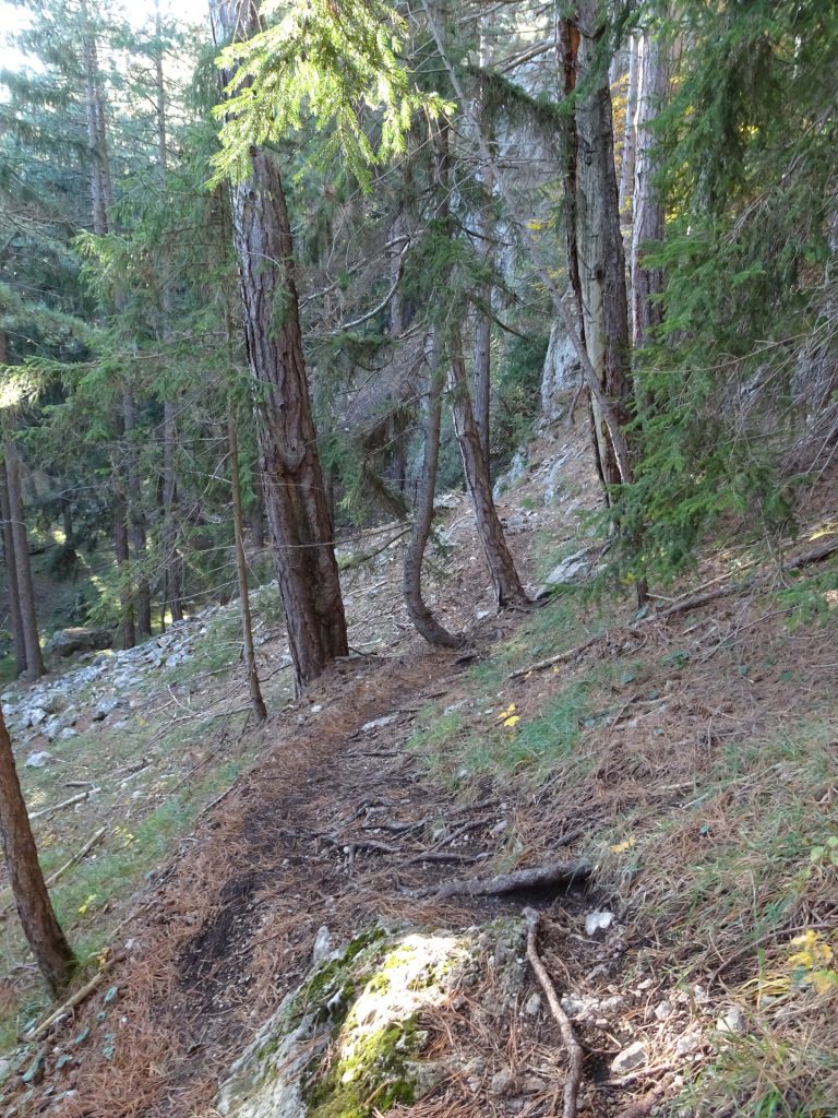 At the \"Wandfußsteig\" back to the parking