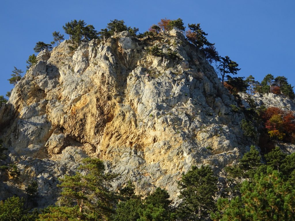 View back to the "Weningerwand"