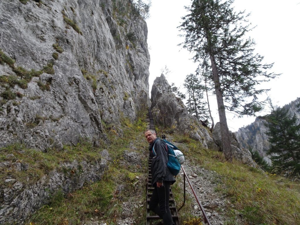 Herbert at the "Schönbrunnerstiege"