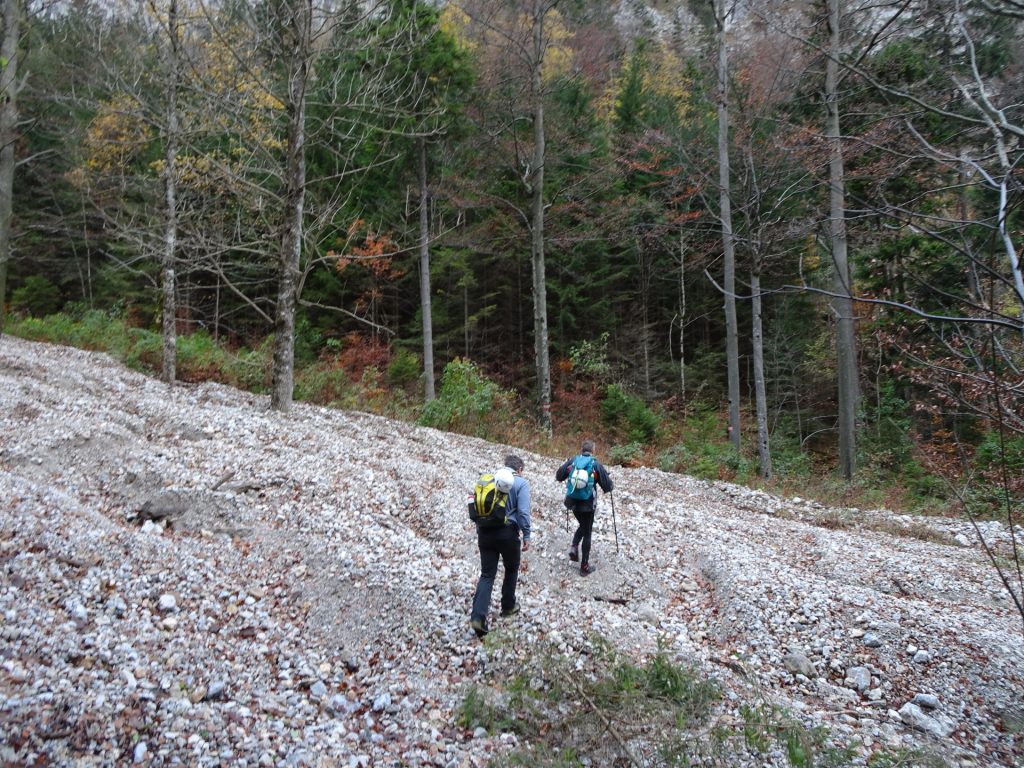 Towards the "Hoyossteig"