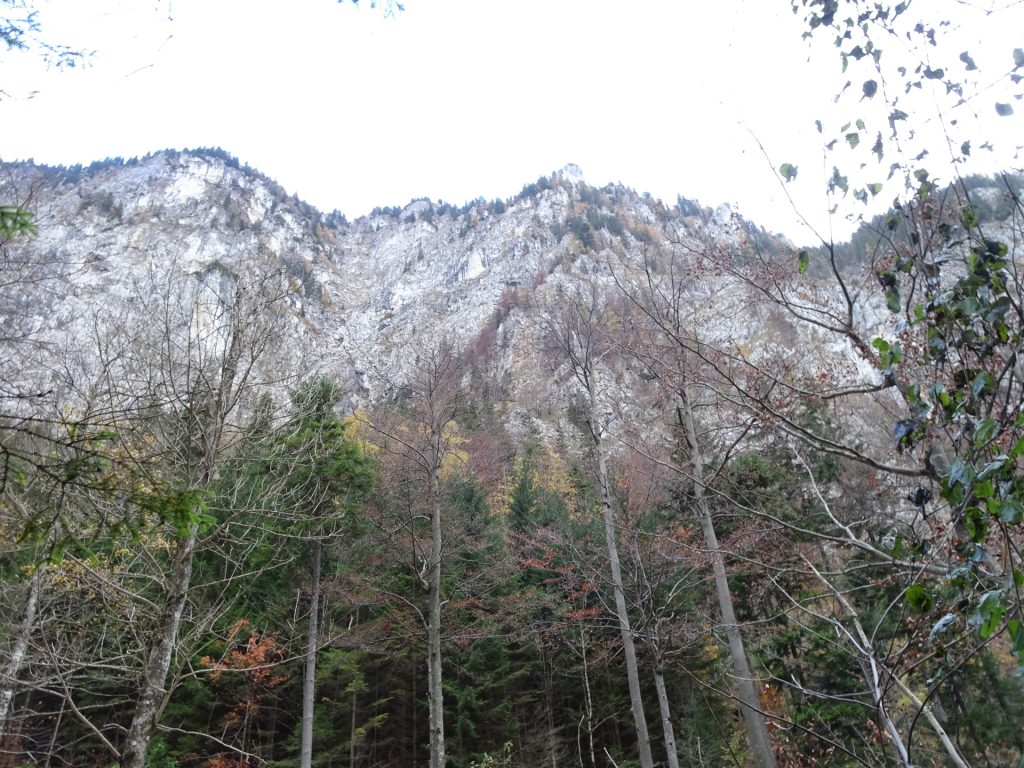 View up to "Hoyossteig"