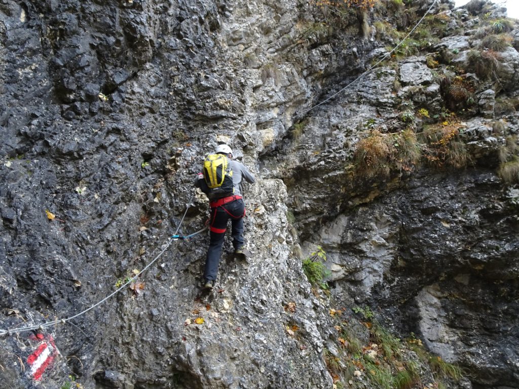 Robert climbs up first the "Hoyossteig" via ferrata