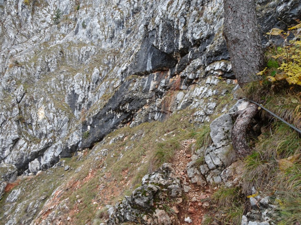 The "Hoyossteig" via ferrata