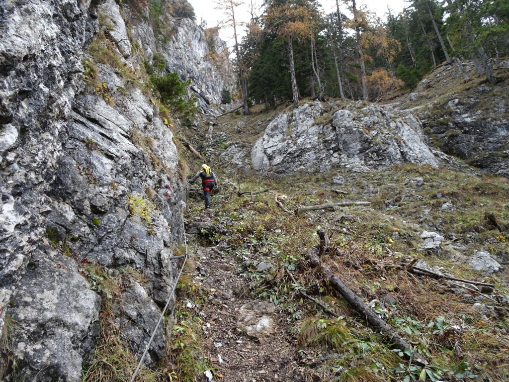 Climbing up the "Hoyossteig" via ferrata