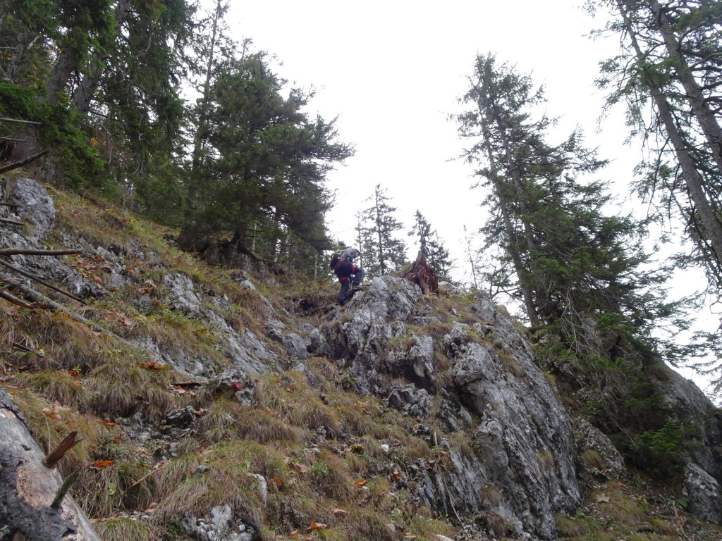 Robert does the lead climb