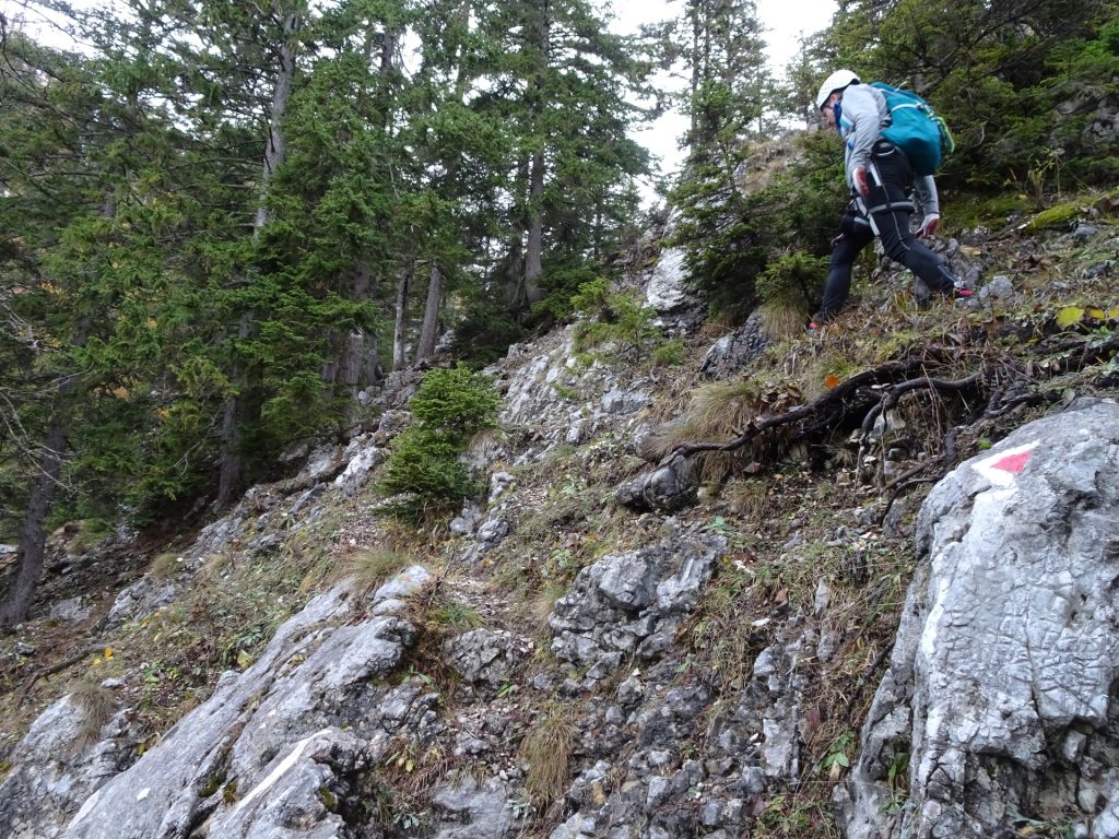 Follow the "Hoyossteig" upwards (left-turn!)