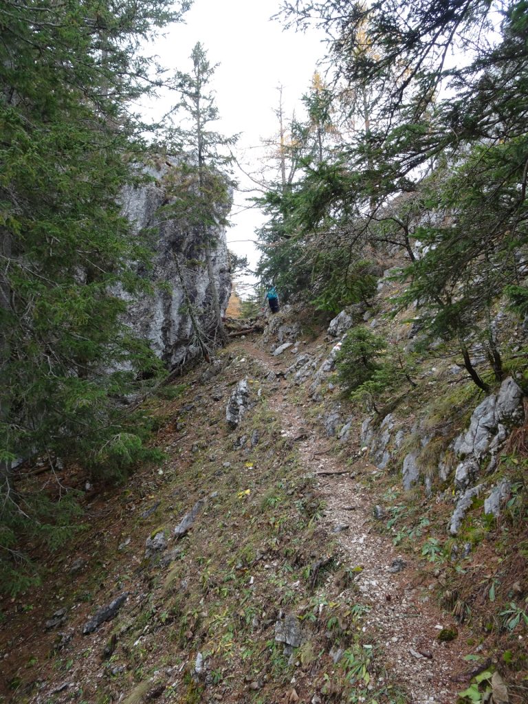 "Hoyossteig" via ferrata