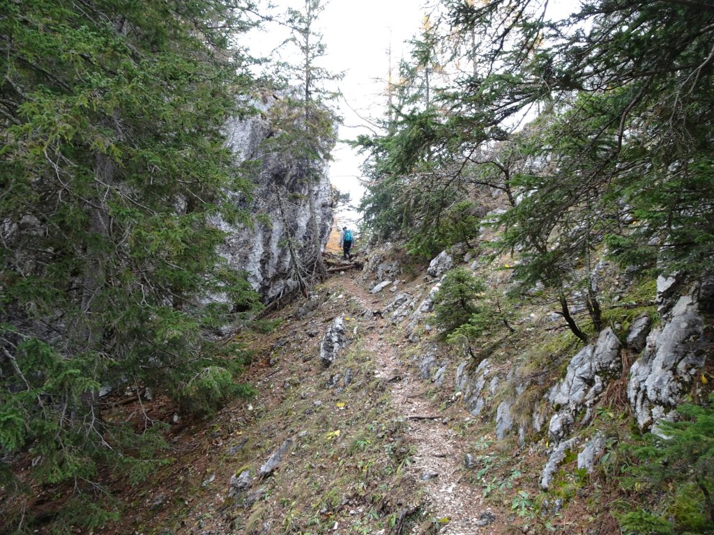 "Hoyossteig" via ferrata