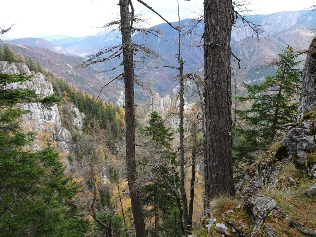 View from "Hoyossteig"