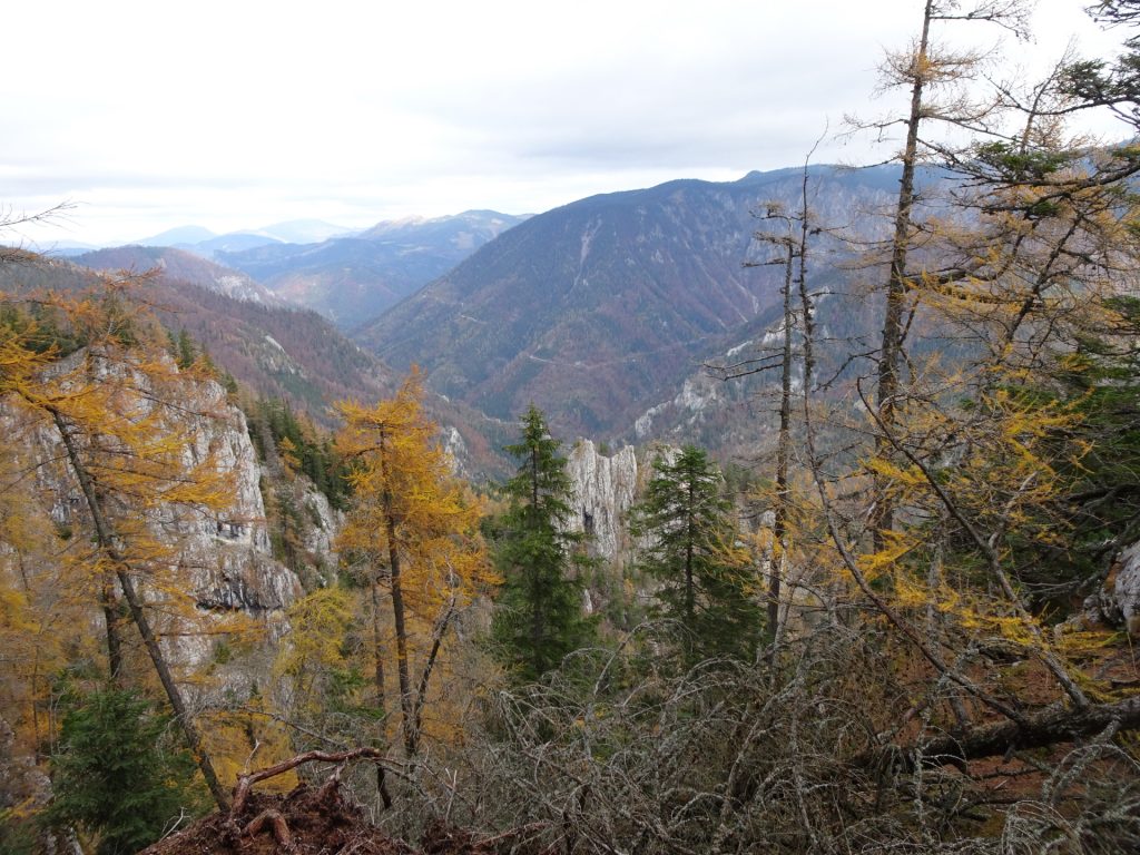 View from "Hoyossteig"