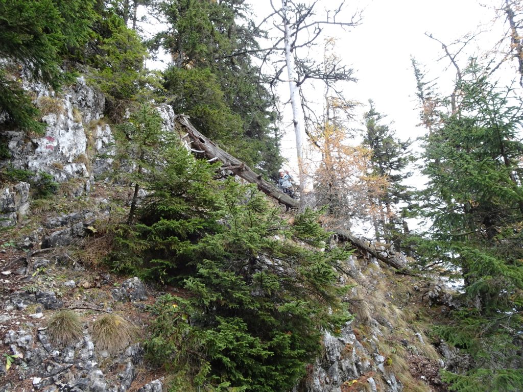 The "Hoyossteig" via ferrata