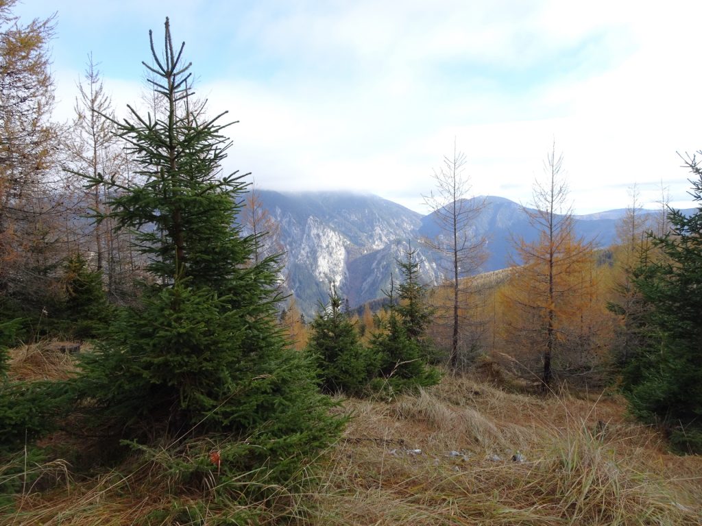 View from the plateau