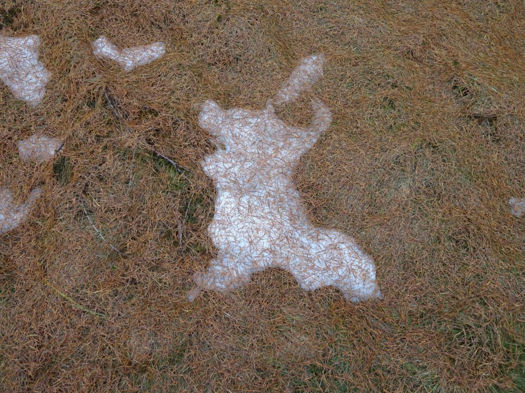 Some small snow fields at the plateau