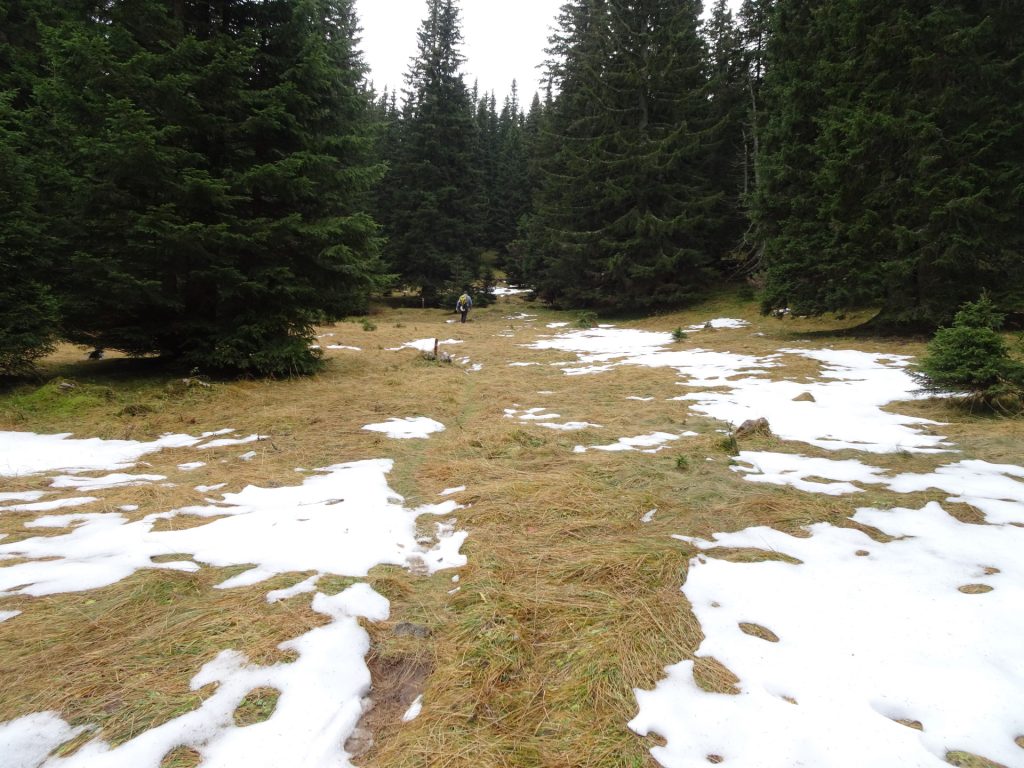 Trail towards "Klobelntörl"