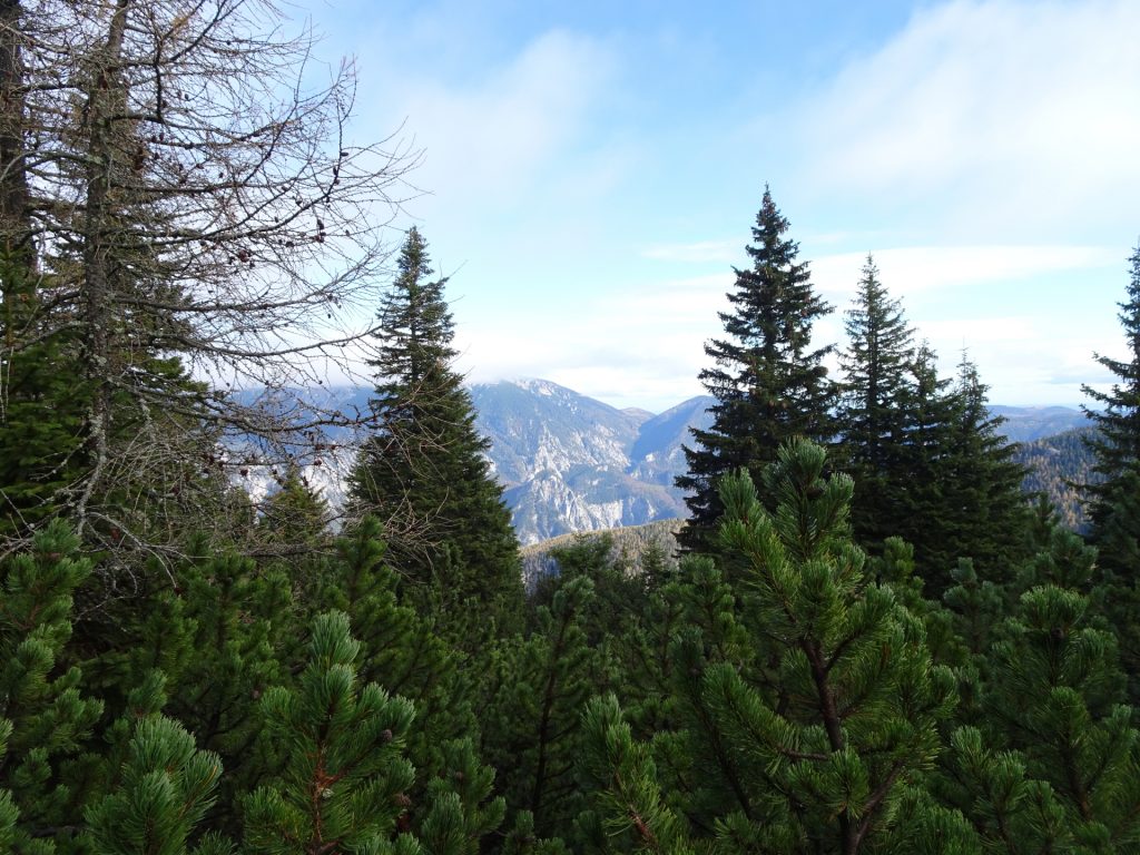 View from upper "Rudolfssteig" towards "Klobentörl"