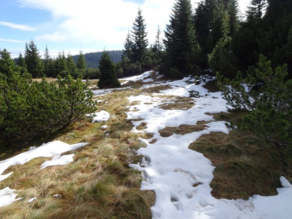 View from upper "Rudolfssteig" towards "Klobentörl"