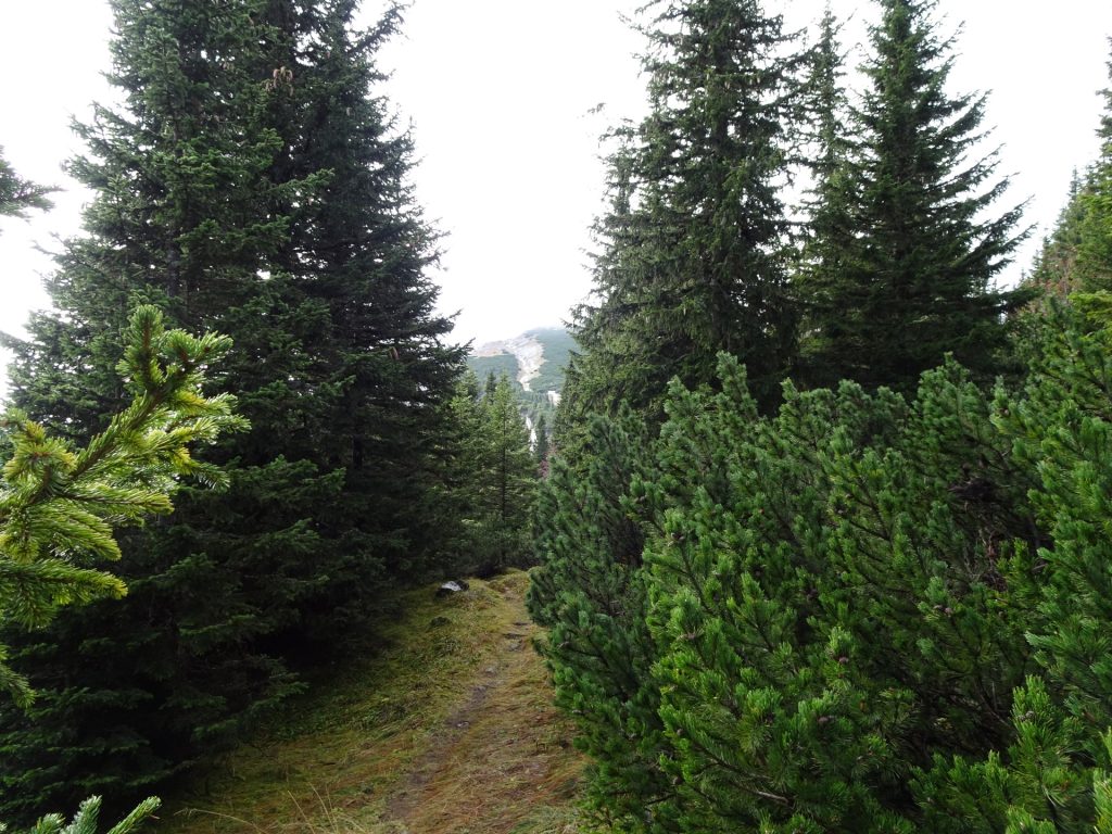 Trail towards "Klobentörl"