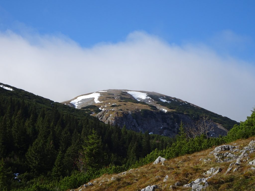 View towards the "Scheibwaldhöhe"