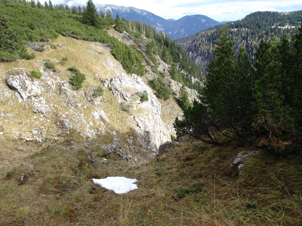 Trail towards "Dirnbacherhütte / Ottohaus"