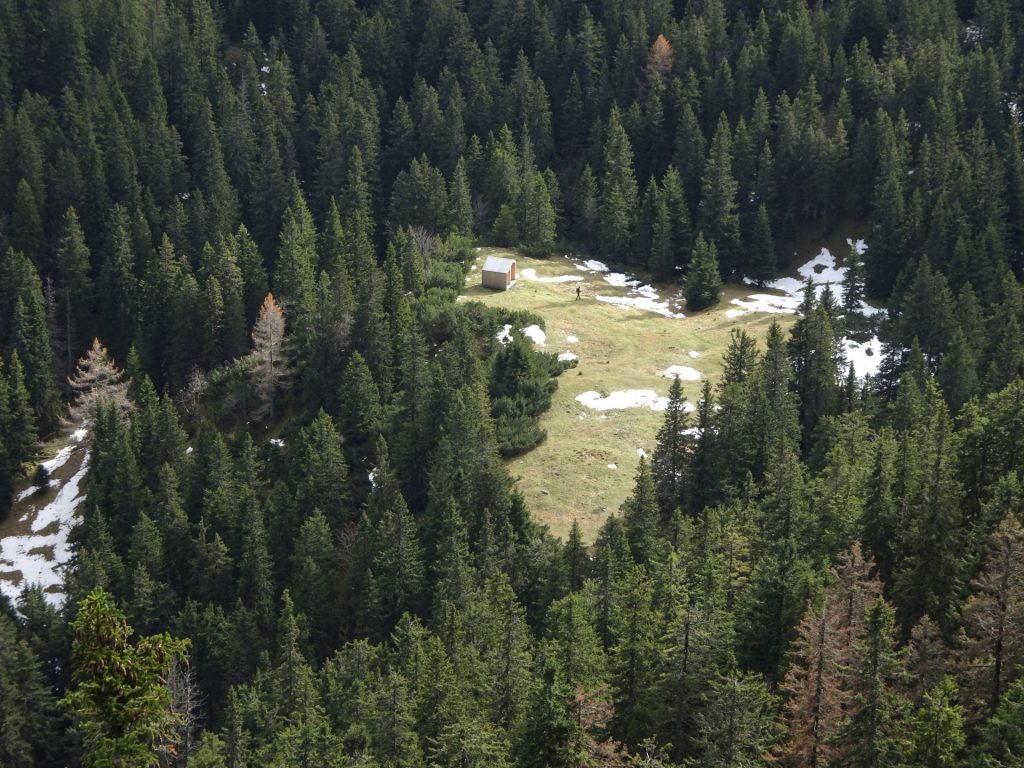 View towards "Dirnbacherhütte"