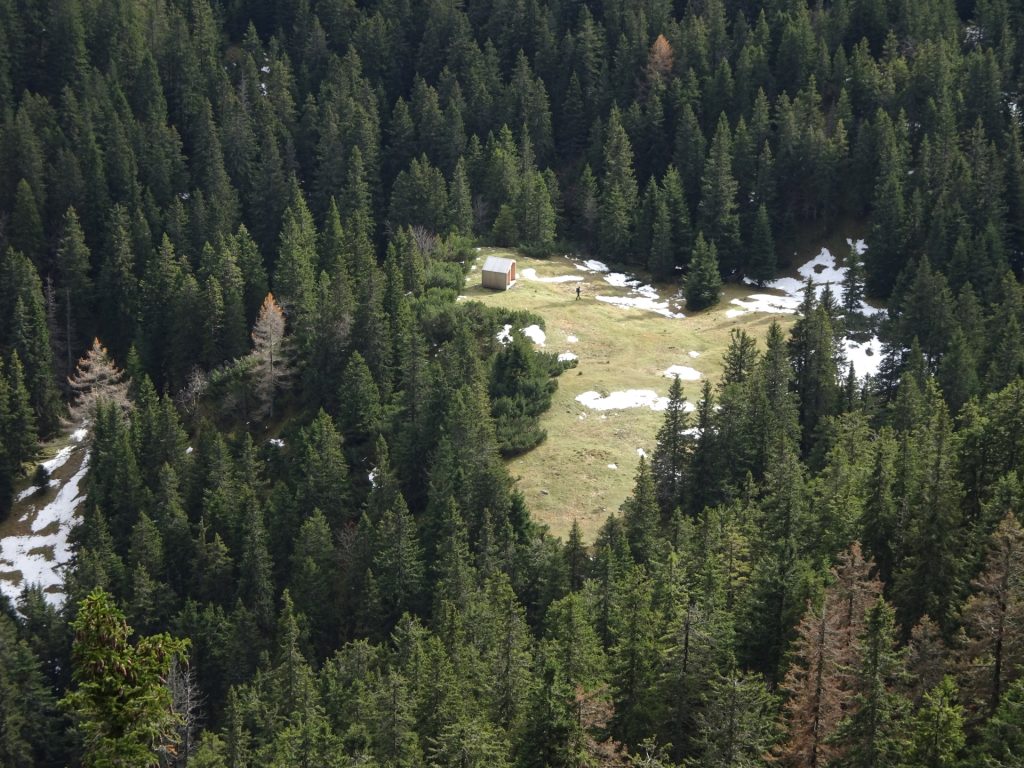 View towards "Dirnbacherhütte"