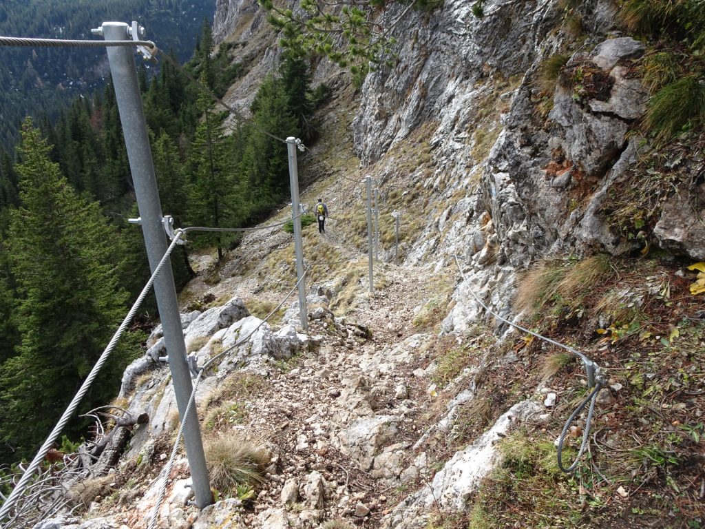 Descending towards "Dirnbacherhütte"