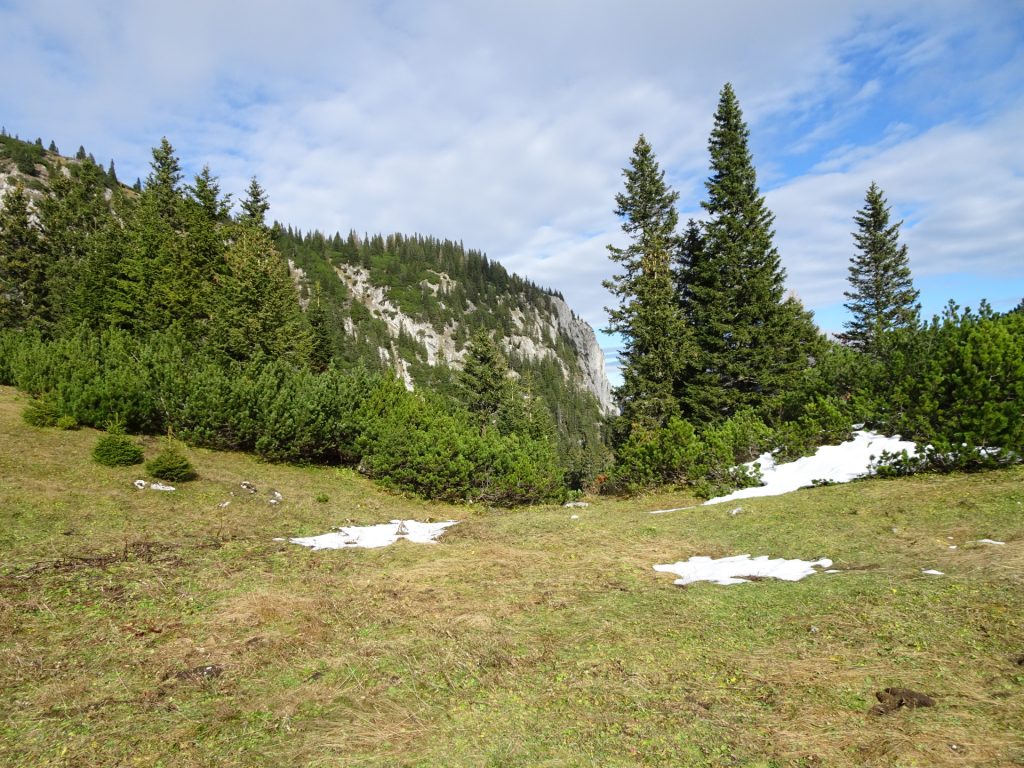 View from "Dirnbacherhütte"