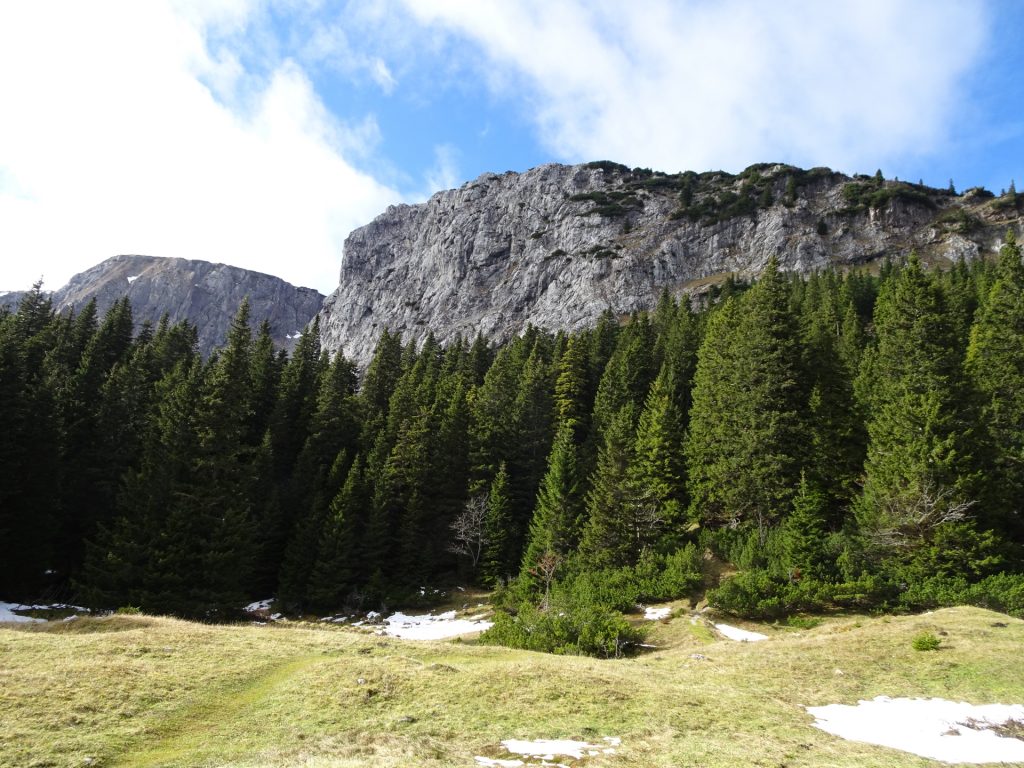 View from "Dirnbacherhütte"