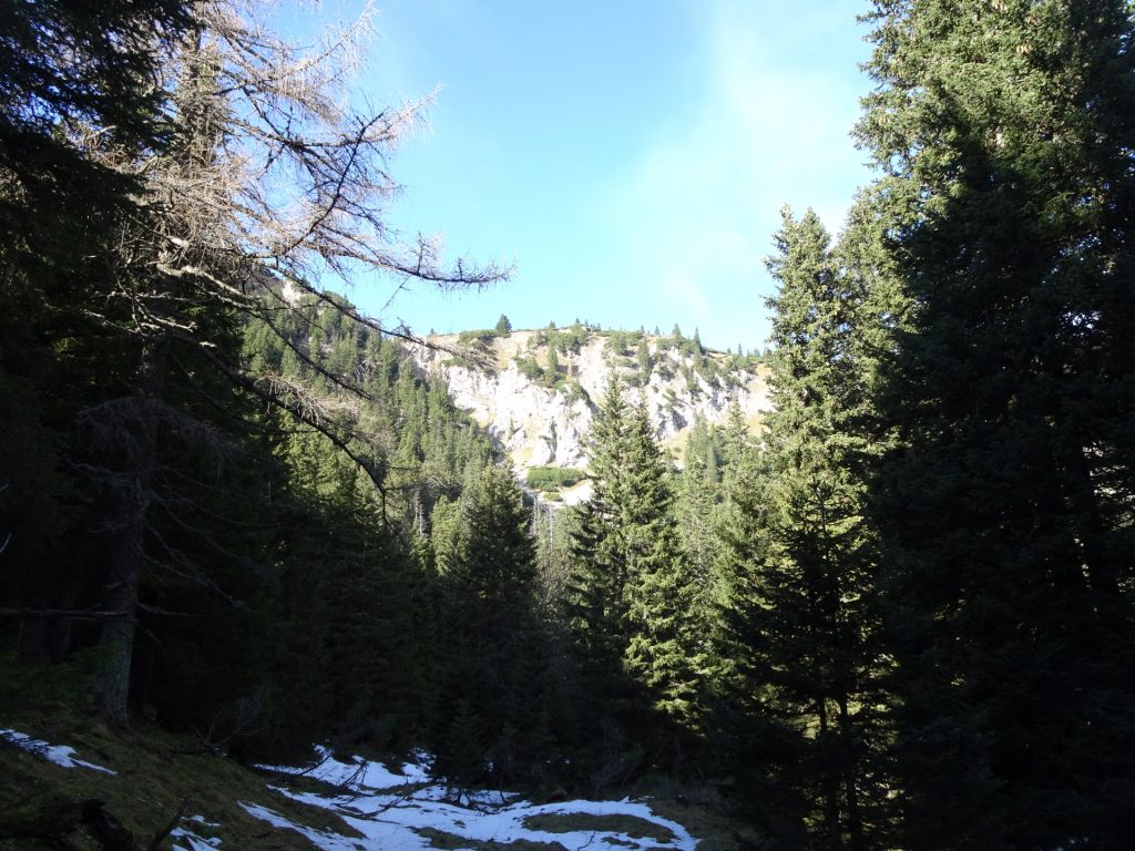 Trail towards "Gustav-Jahn-Steig"