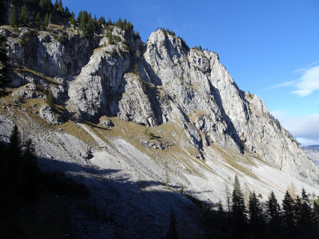 View from trail towards "Gustav-Jahn-Steig"