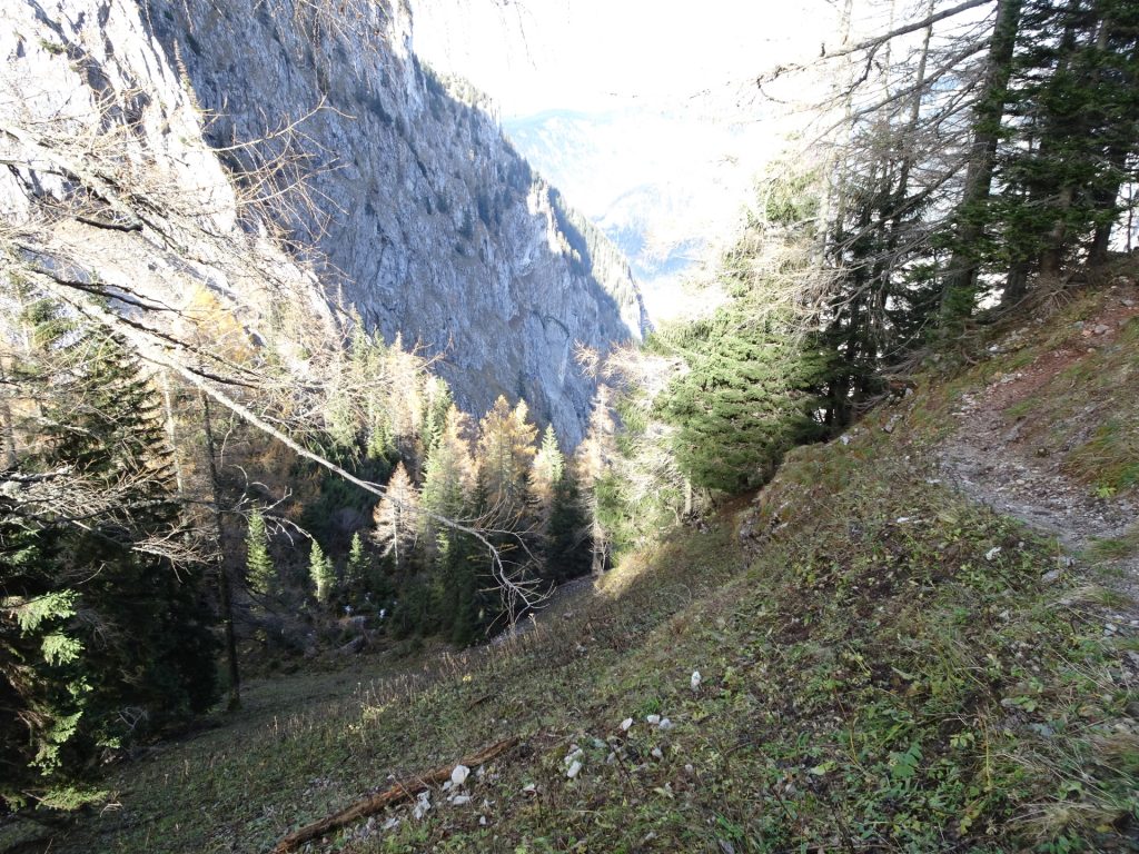 Towards "Gustav-Jahn-Steig"