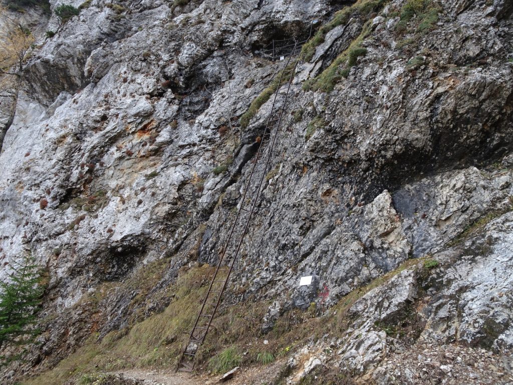 The long iron ladder at the crossing between "Gustav-Jahn-Steig" and "AV-Steig"