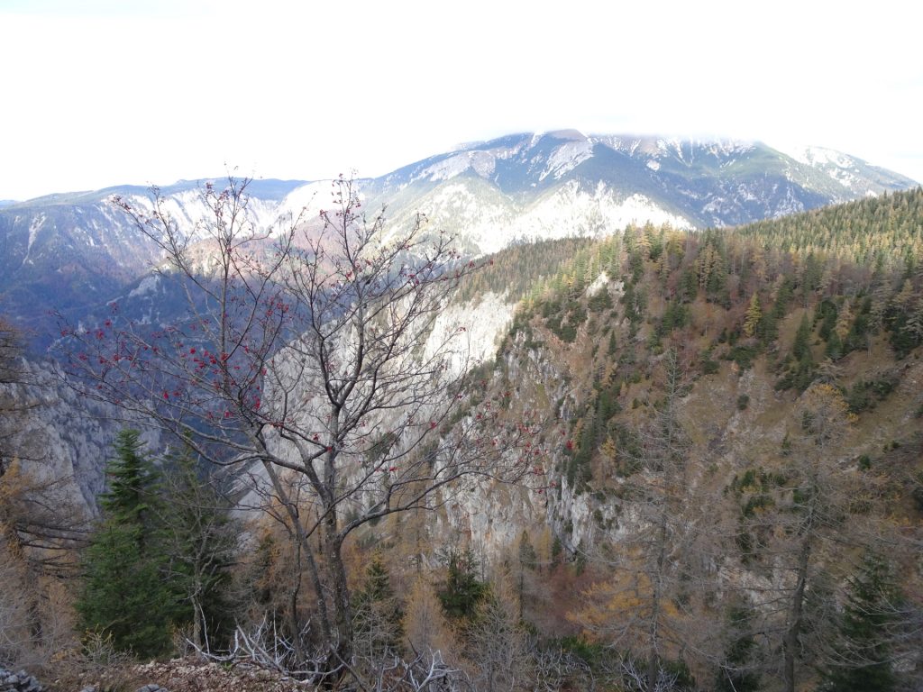 View towards "Schneeberg" from "AV-Steig"