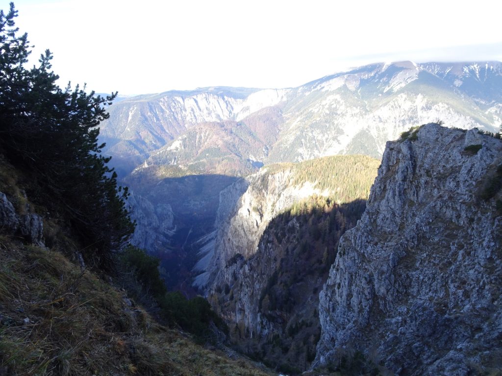 View towards "Schneeberg" from "AV-Steig"