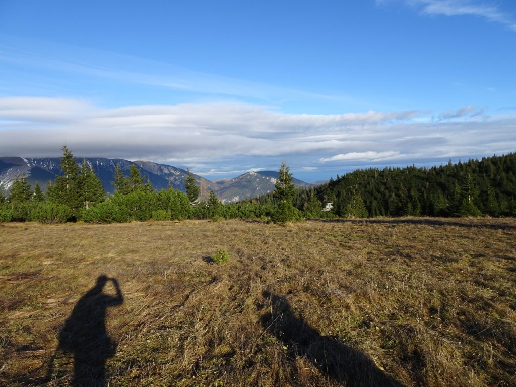 View from the trail back towards "Praterstern / Ottohaus"