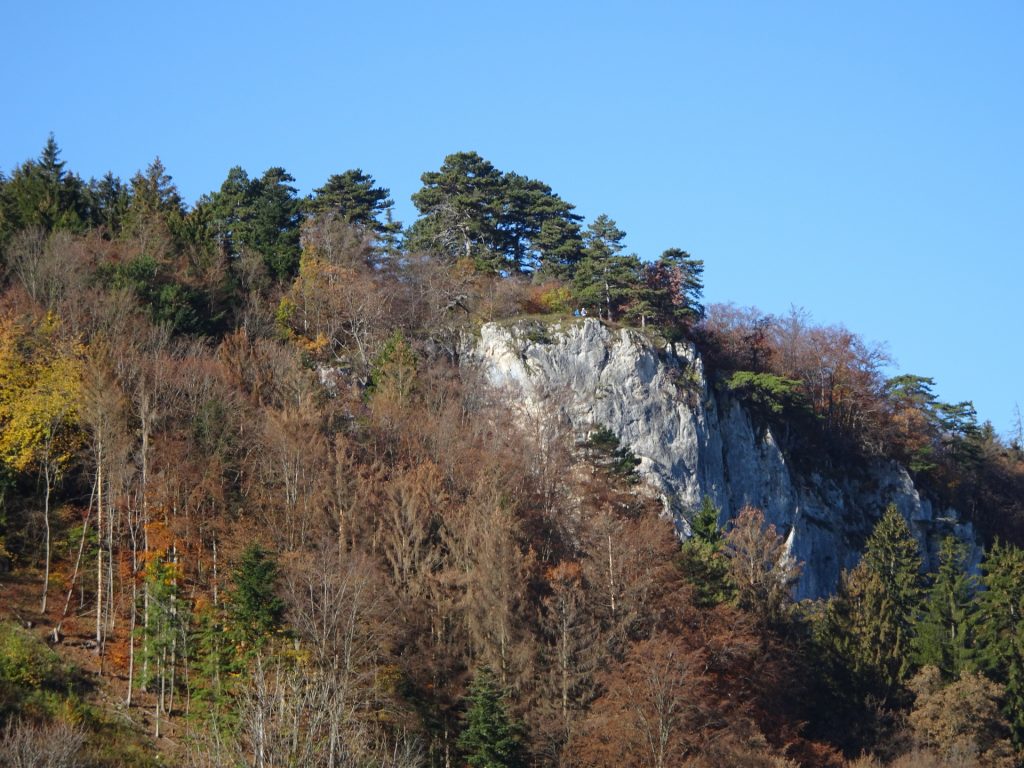 The "Währingersteig"