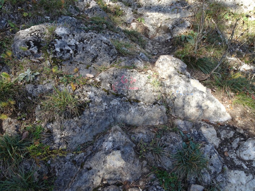 Marking of the crossing towards "Ganghofersteig" (hard to find!)